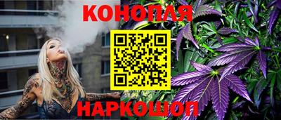 прущие грибы Аргун