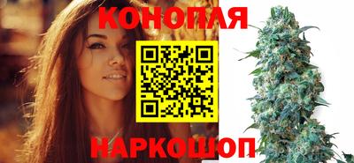 прущие грибы Аргун