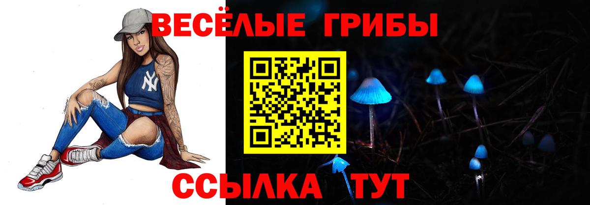 хочу   Вход с VPN  Псилоцибиновые грибы мухоморы  Выкса  Псилоцибиновые грибы прущие грибы 