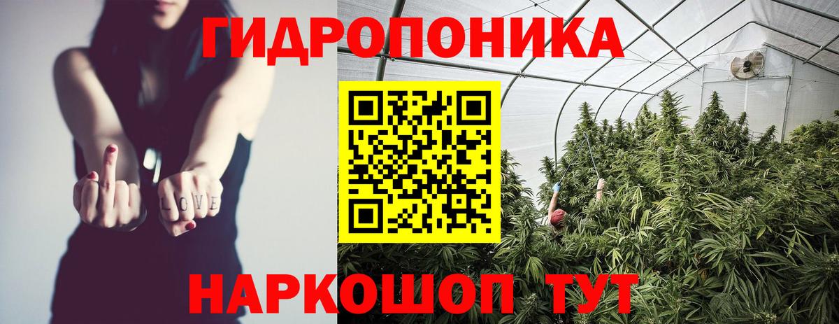 Бошки марихуана Amnesia  Вход с VPN  Бошки марихуана гибрид  Выкса 